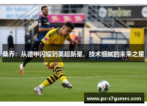 桑乔:从德甲闪耀到英超新星,技术细腻的未来之星 桑乔:从德甲闪耀到英超新星,技术细腻的未来之星