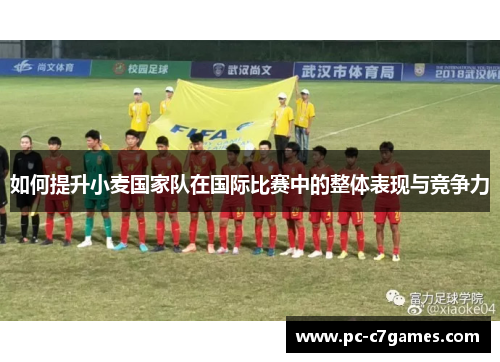 如何提升小麦国家队在国际比赛中的整体表现与竞争力