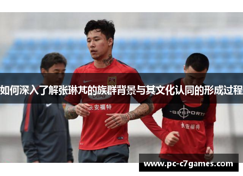 如何深入了解张琳芃的族群背景与其文化认同的形成过程