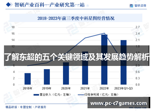 了解东超的五个关键领域及其发展趋势解析